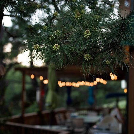 Coyote Blues Village Bed & Breakfast Silver City Εξωτερικό φωτογραφία